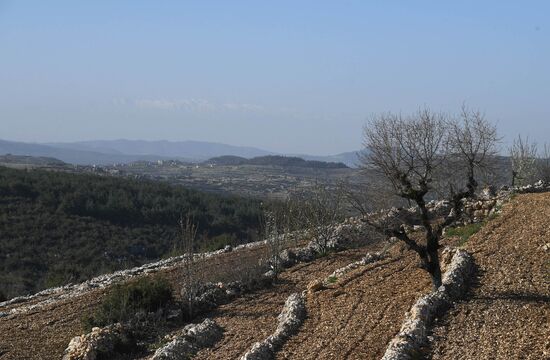 Views of Syria between Hama and Tishreen