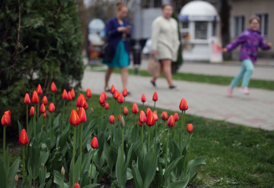 Cities of Russia. Krasnodar Territory. Goryachy Klyuch