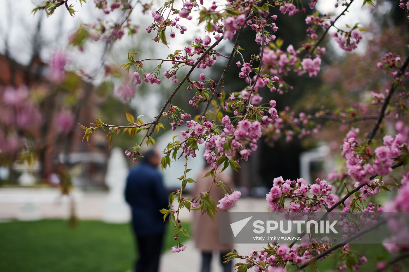 Cities of Russia. Krasnodar Territory. Goryachy Klyuch