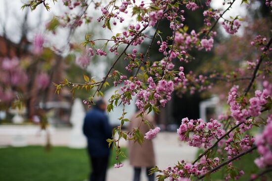 Cities of Russia. Krasnodar Territory. Goryachy Klyuch