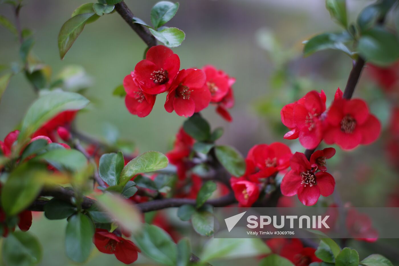 Cities of Russia. Krasnodar Territory. Goryachy Klyuch