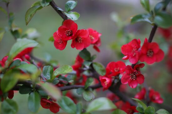 Cities of Russia. Krasnodar Territory. Goryachy Klyuch