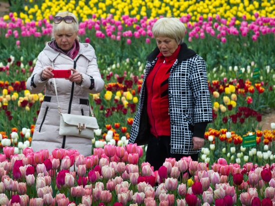 Tulip Parade at Nikitsky Botanical Garden
