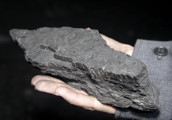 Torezantratsit mine in Donetsk Region