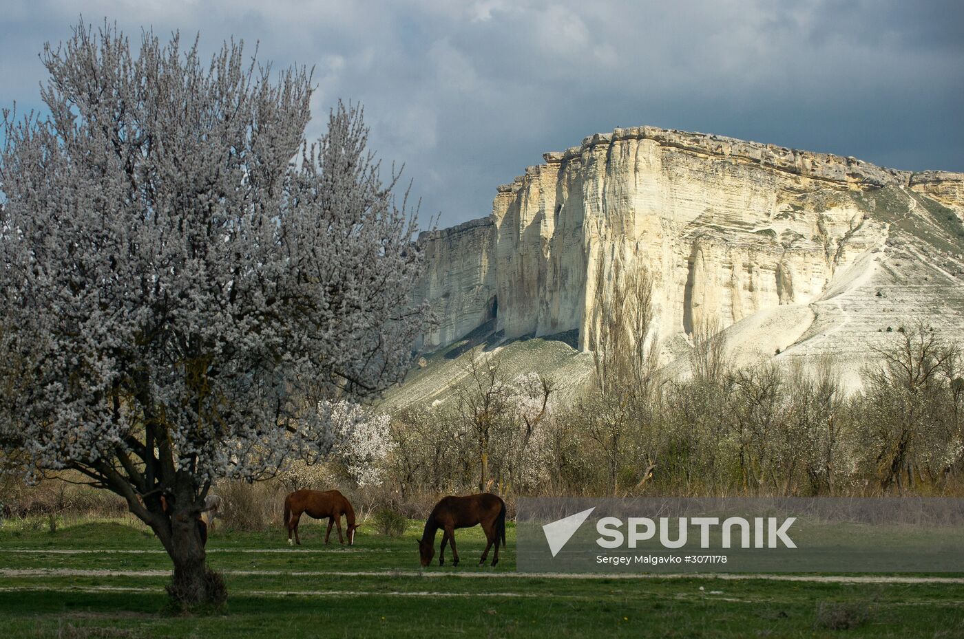 A farm in Crimea