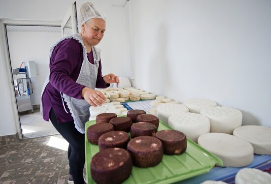 Farming in Crimea
