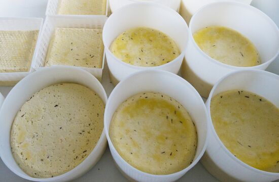 Family farm in Crimea