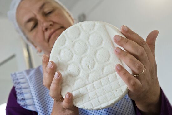 Family farm in Crimea