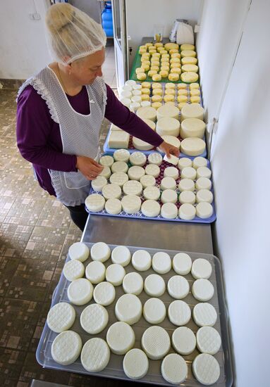 Family farm in Crimea