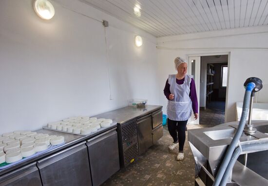 Family farm in Crimea