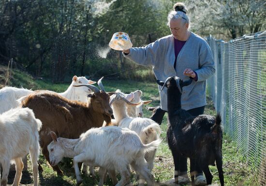 Farming in Crimea