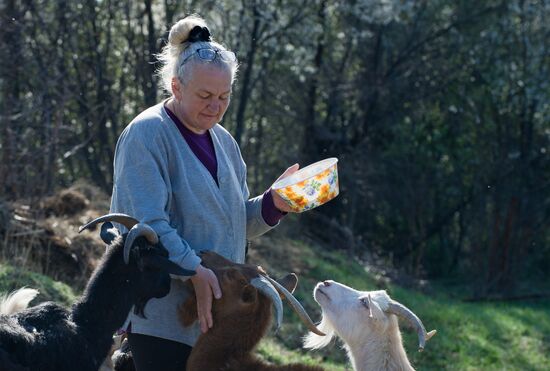 Family farm in Crimea