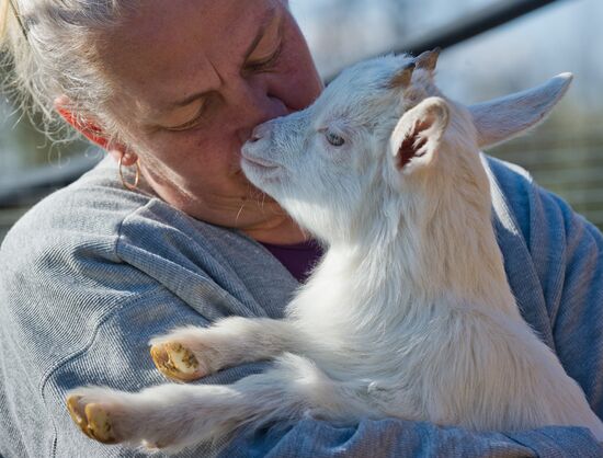 Family farm in Crimea