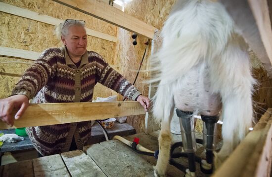 Family farm in Crimea