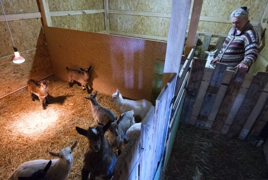 Family farm in Crimea