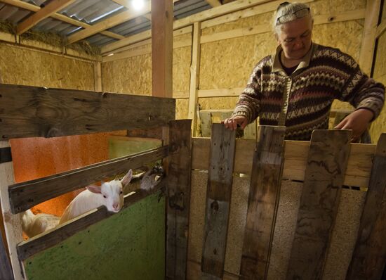 Family farm in Crimea