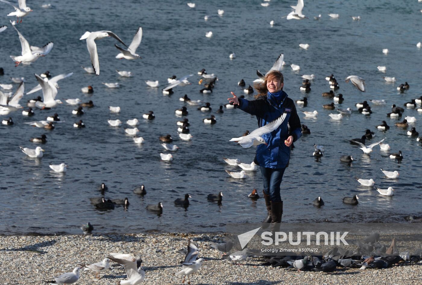Russian cities. Gelendzhik