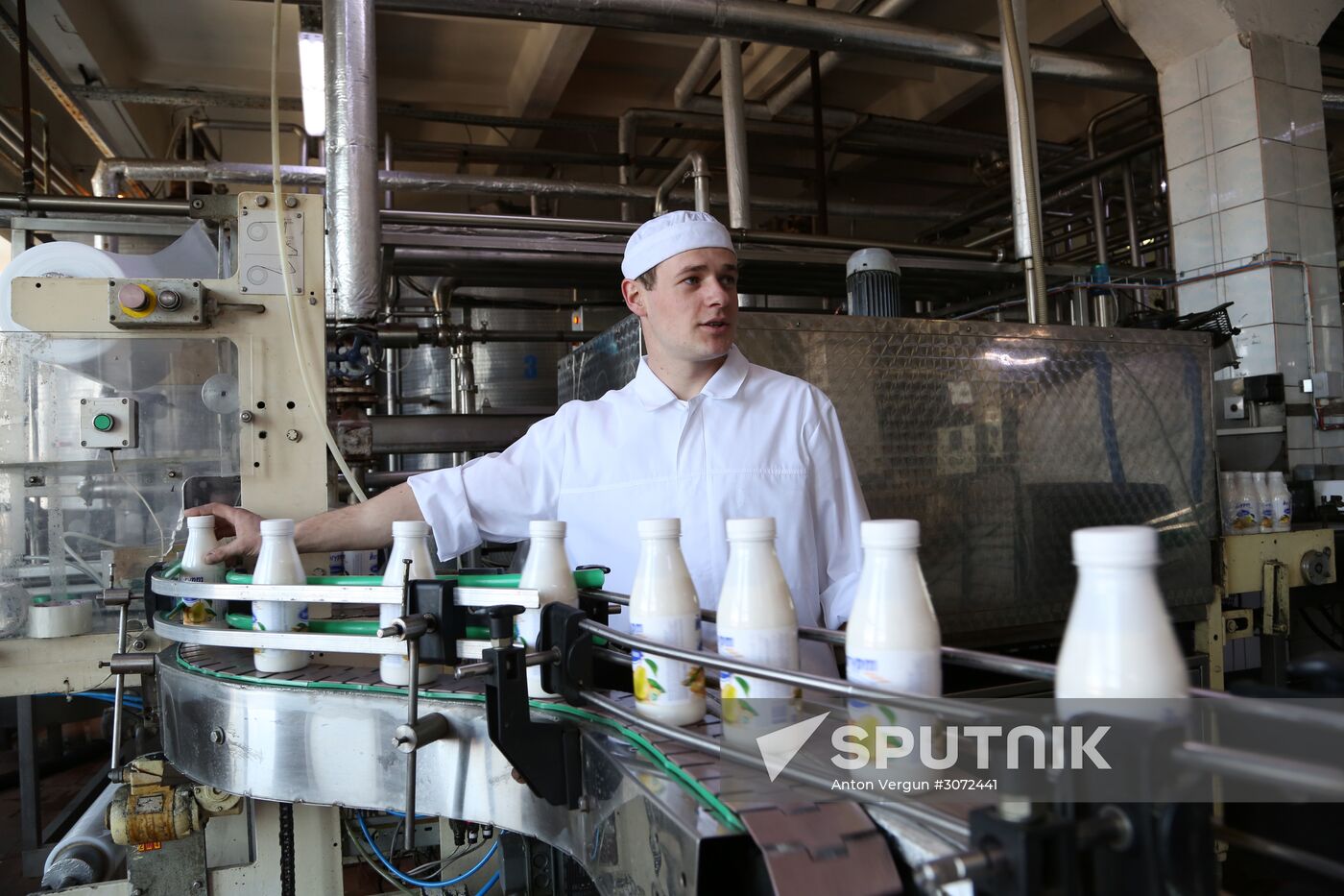 Dairy production in Belgorod