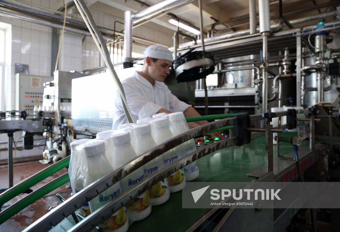 Dairy production in Belgorod