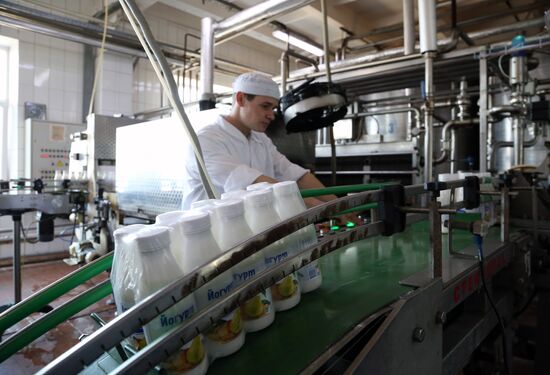 Dairy production in Belgorod