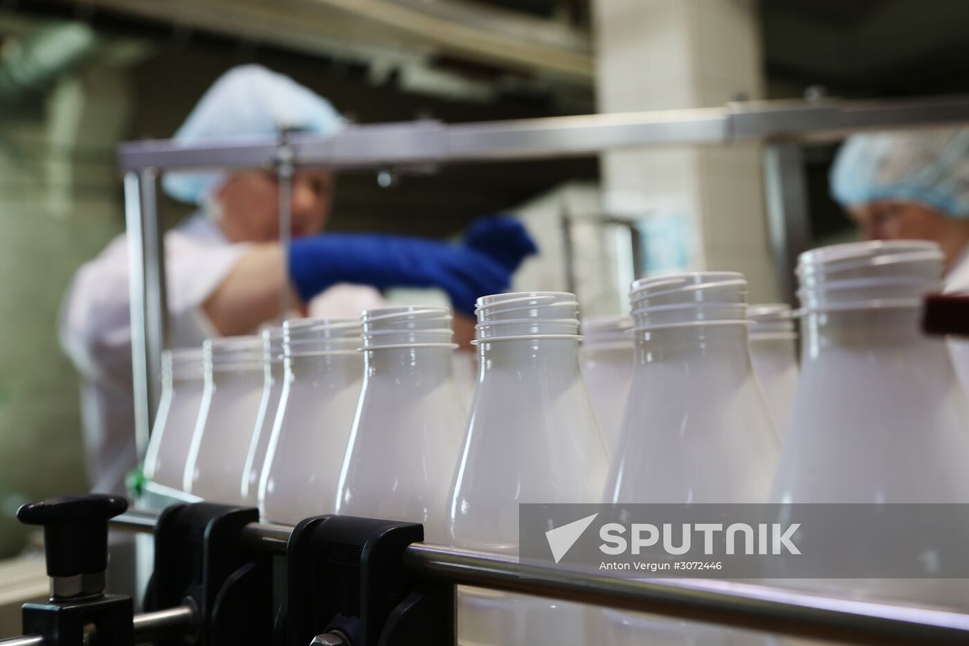 Dairy production in Belgorod