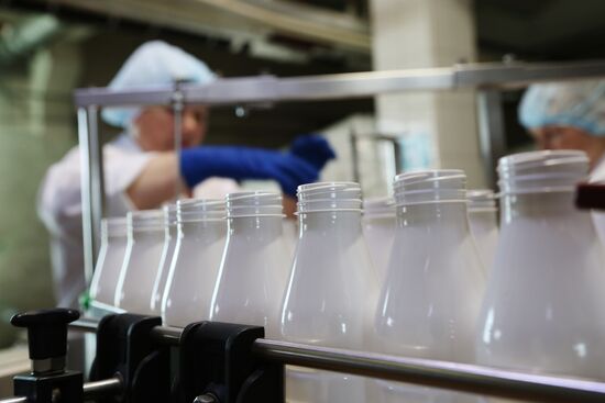 Dairy production in Belgorod