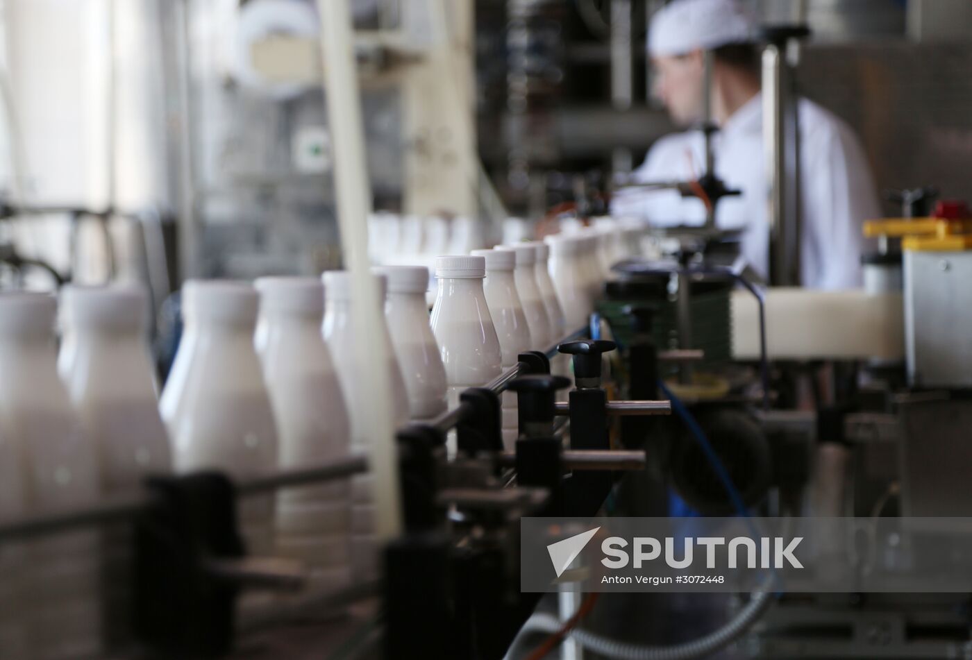 Dairy production in Belgorod