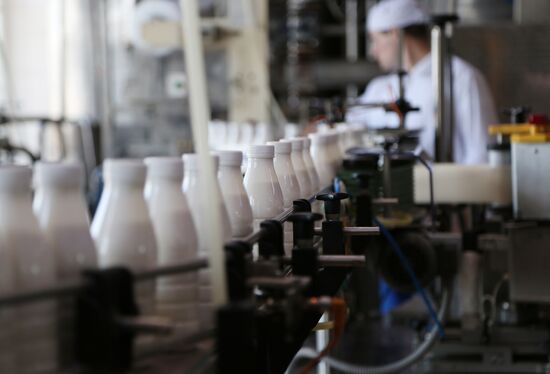 Dairy production in Belgorod