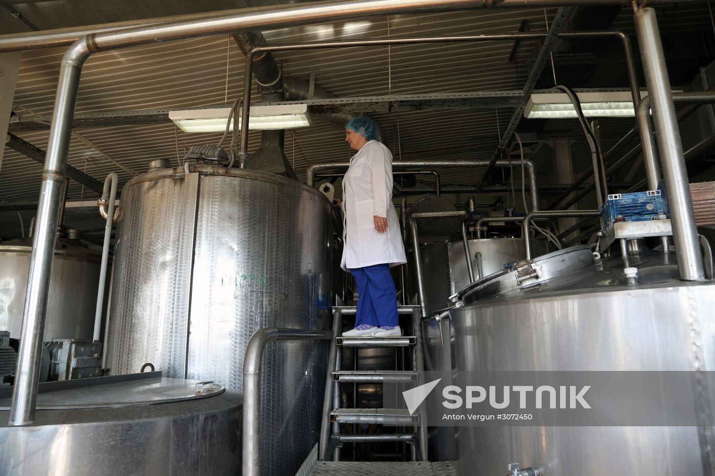 Dairy production in Belgorod