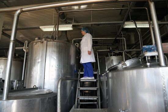 Dairy production in Belgorod