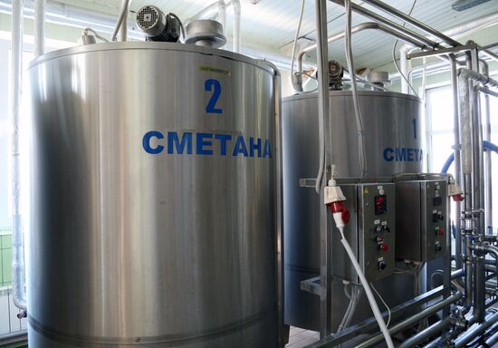 Dairy production in Belgorod