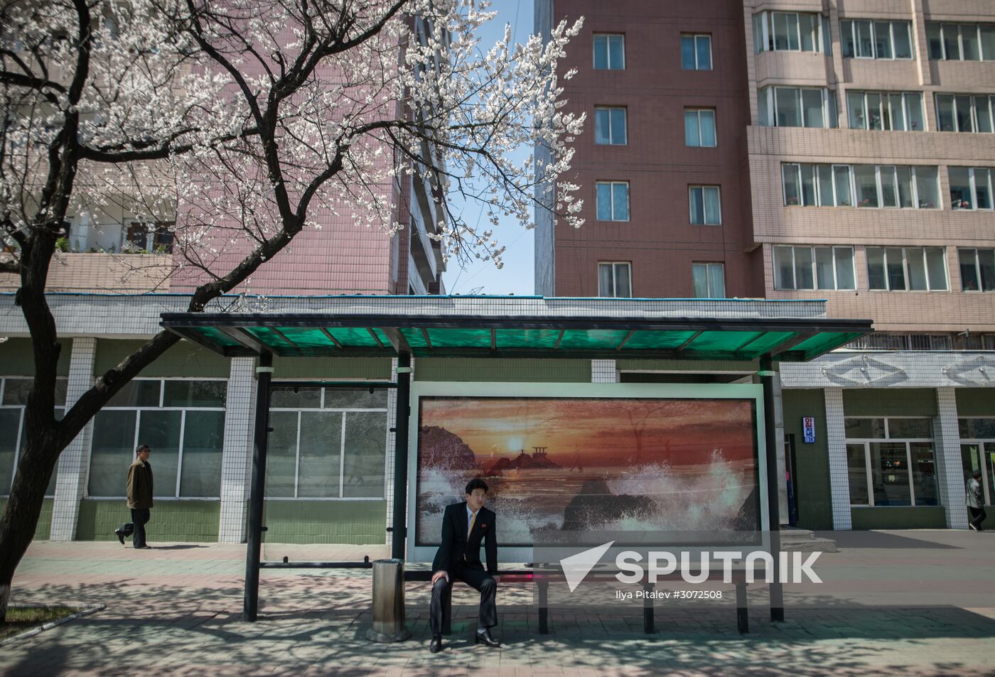 Cities of the world. Pyongyang