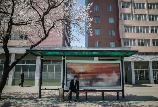 Cities of the world. Pyongyang