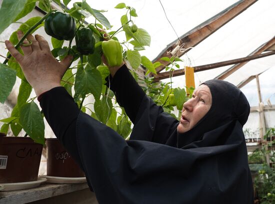 Convent of 'The Indestructible Wall' Icon of the Most Holy Theotokos in Apsheronsk