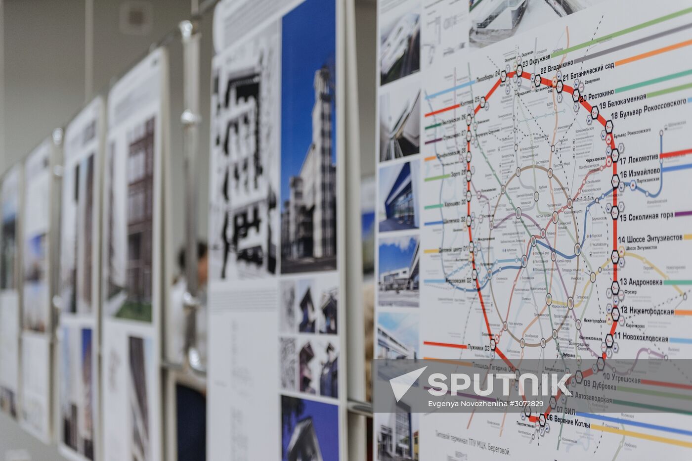 Golden Section architecture festival kicks off