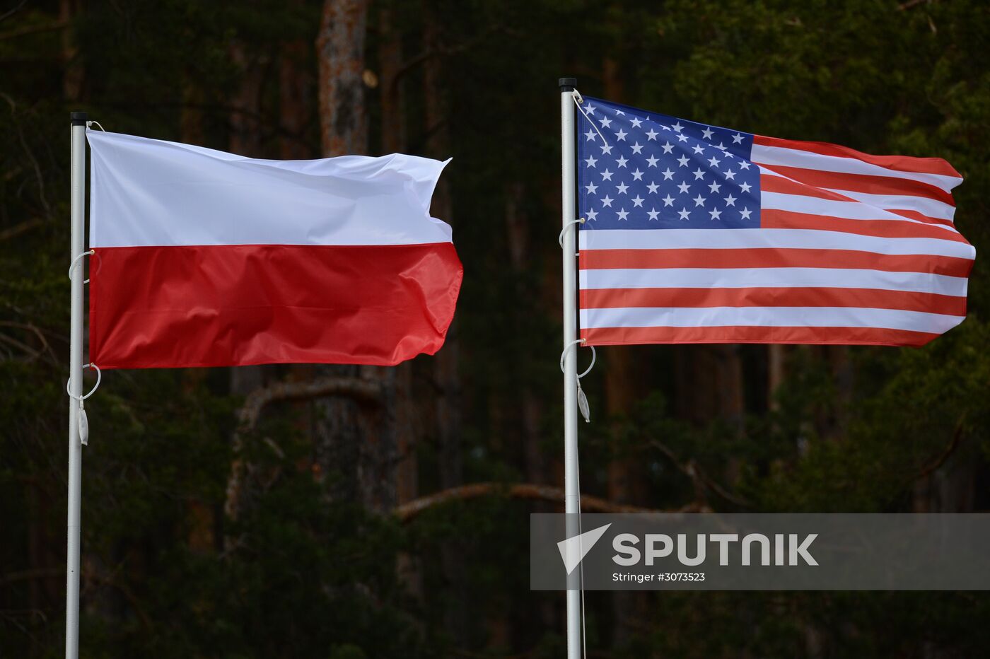 NATO battalion deployed in Poland