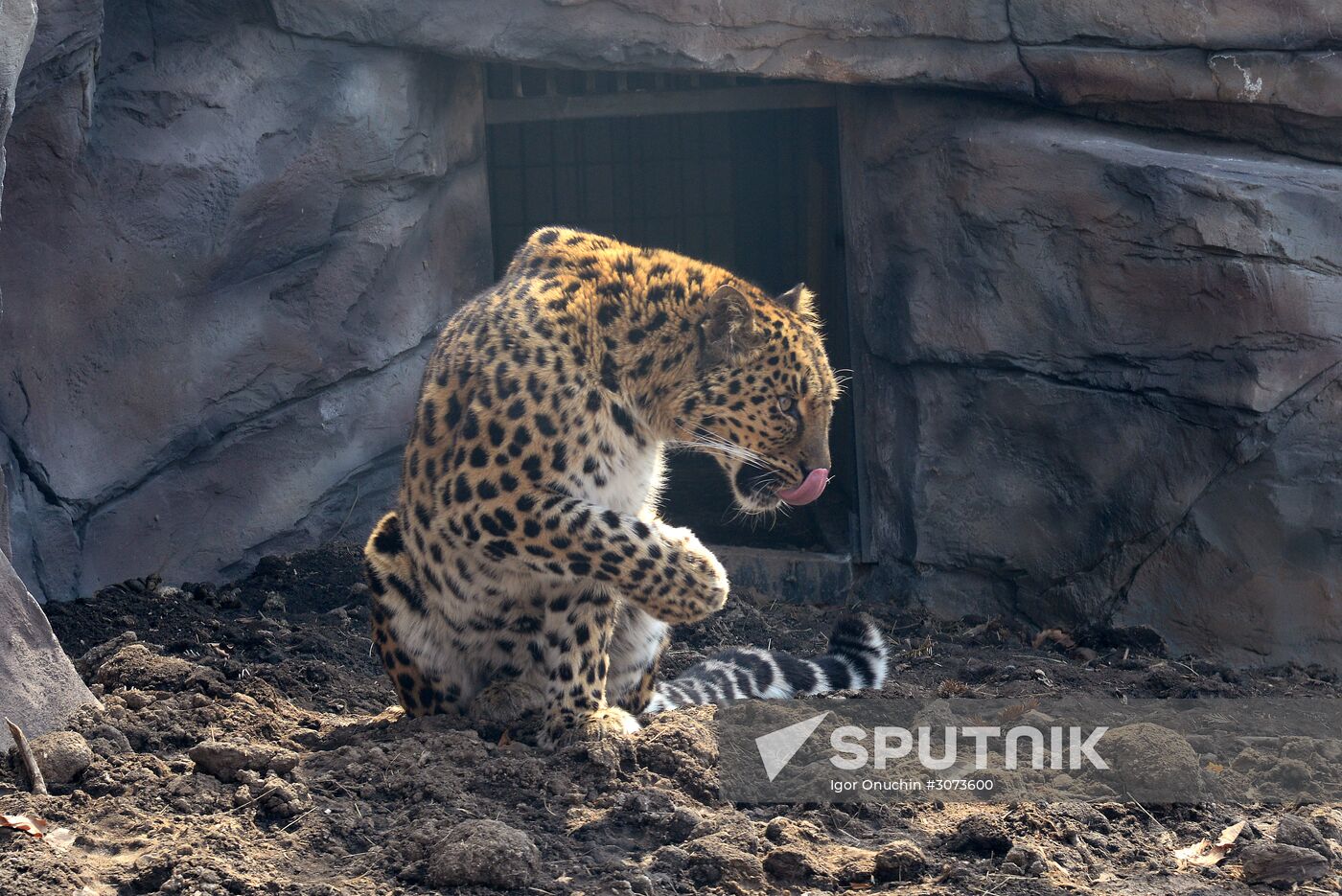 V.Sysoyev Zoo in Khabarovsk