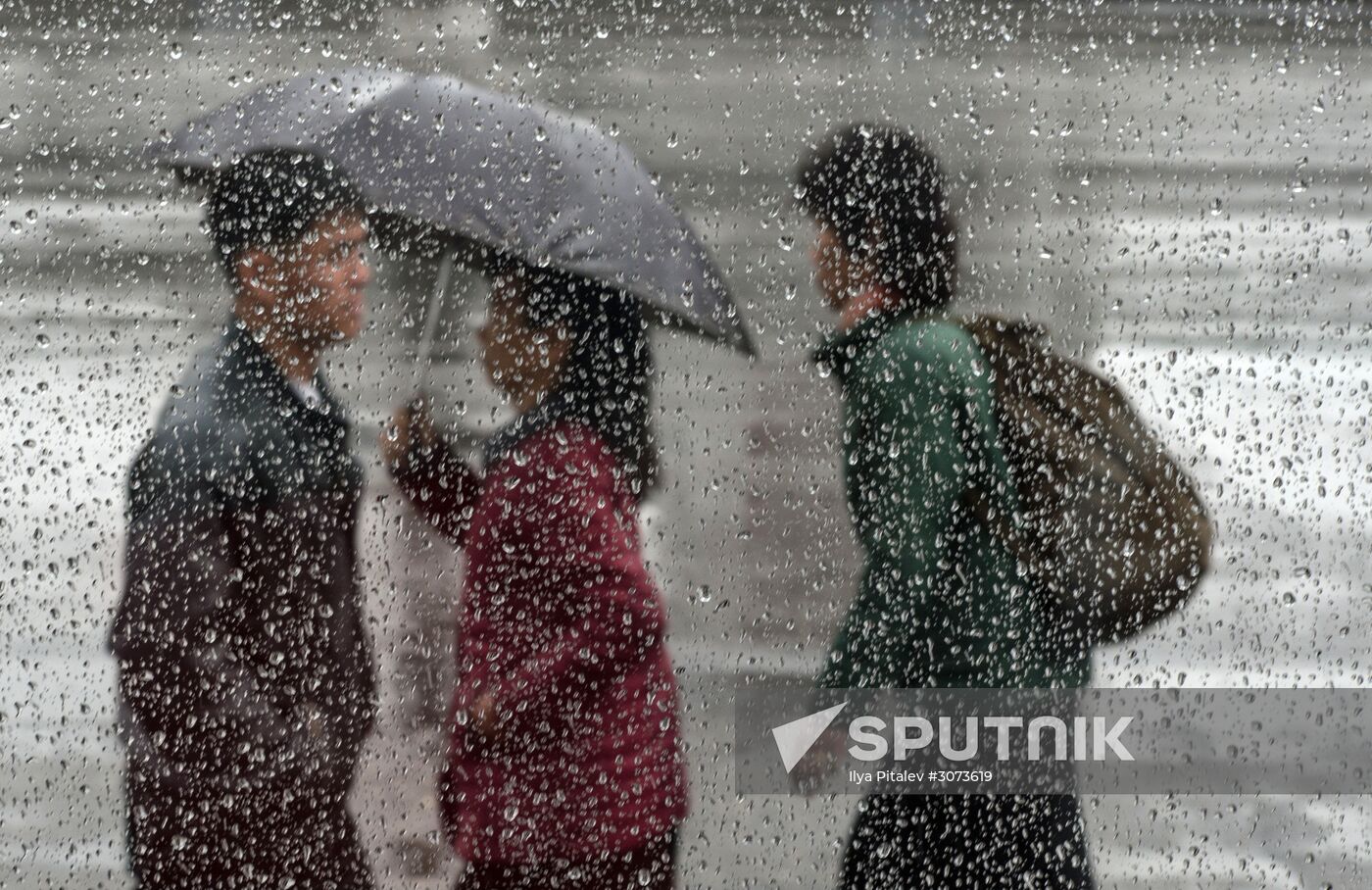 Cities of the world. Pyongyang