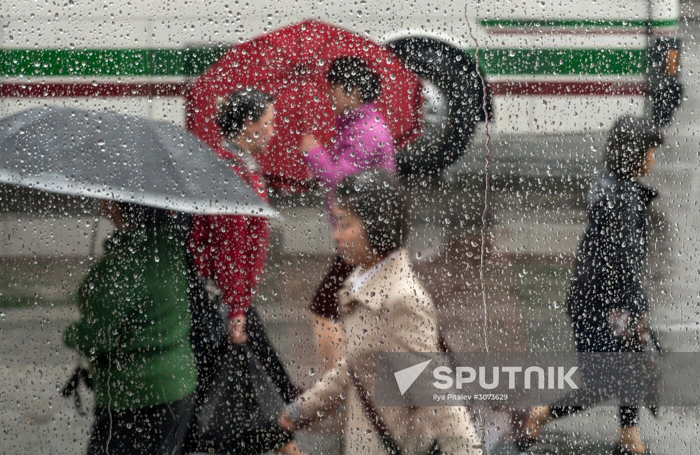 Cities of the world. Pyongyang