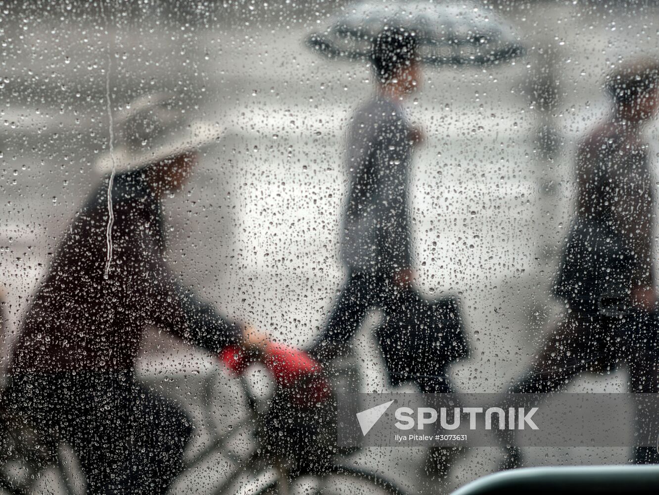 Cities of the world. Pyongyang