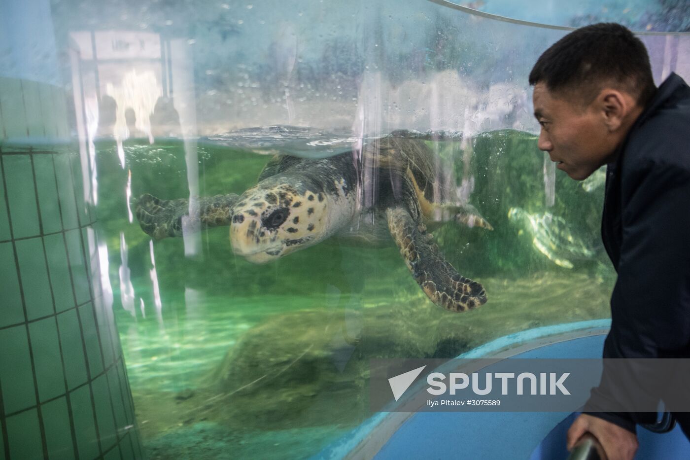 Cities of the world. Pyongyang