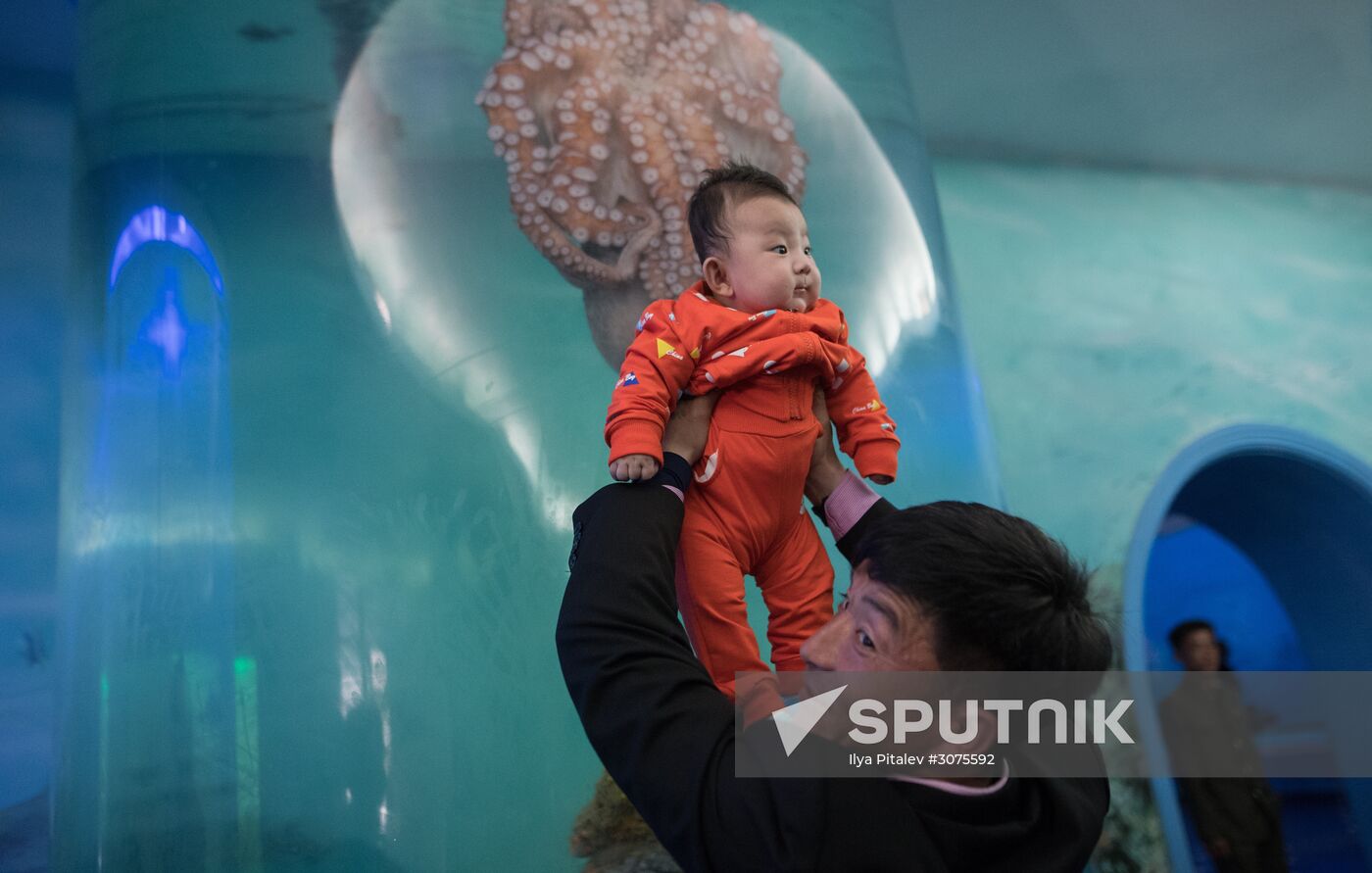 Cities of the world. Pyongyang