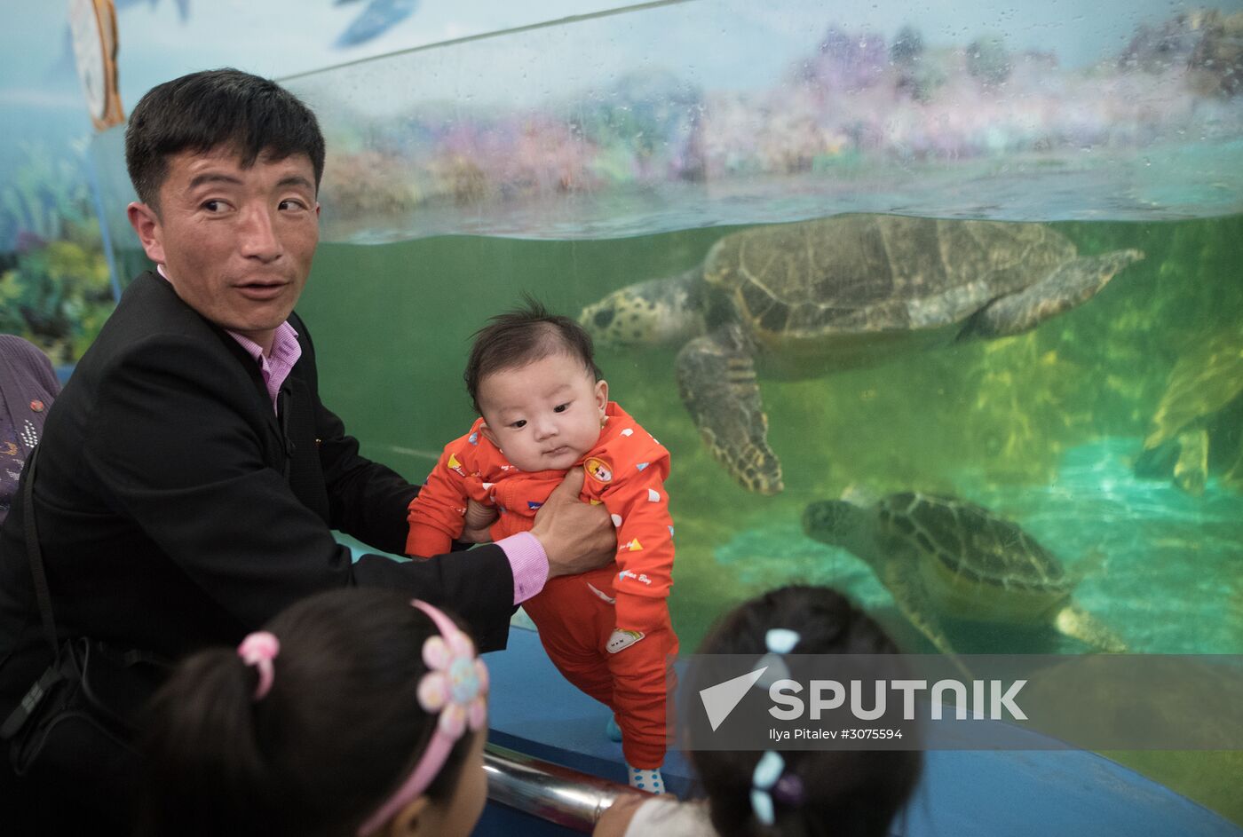 Cities of the world. Pyongyang