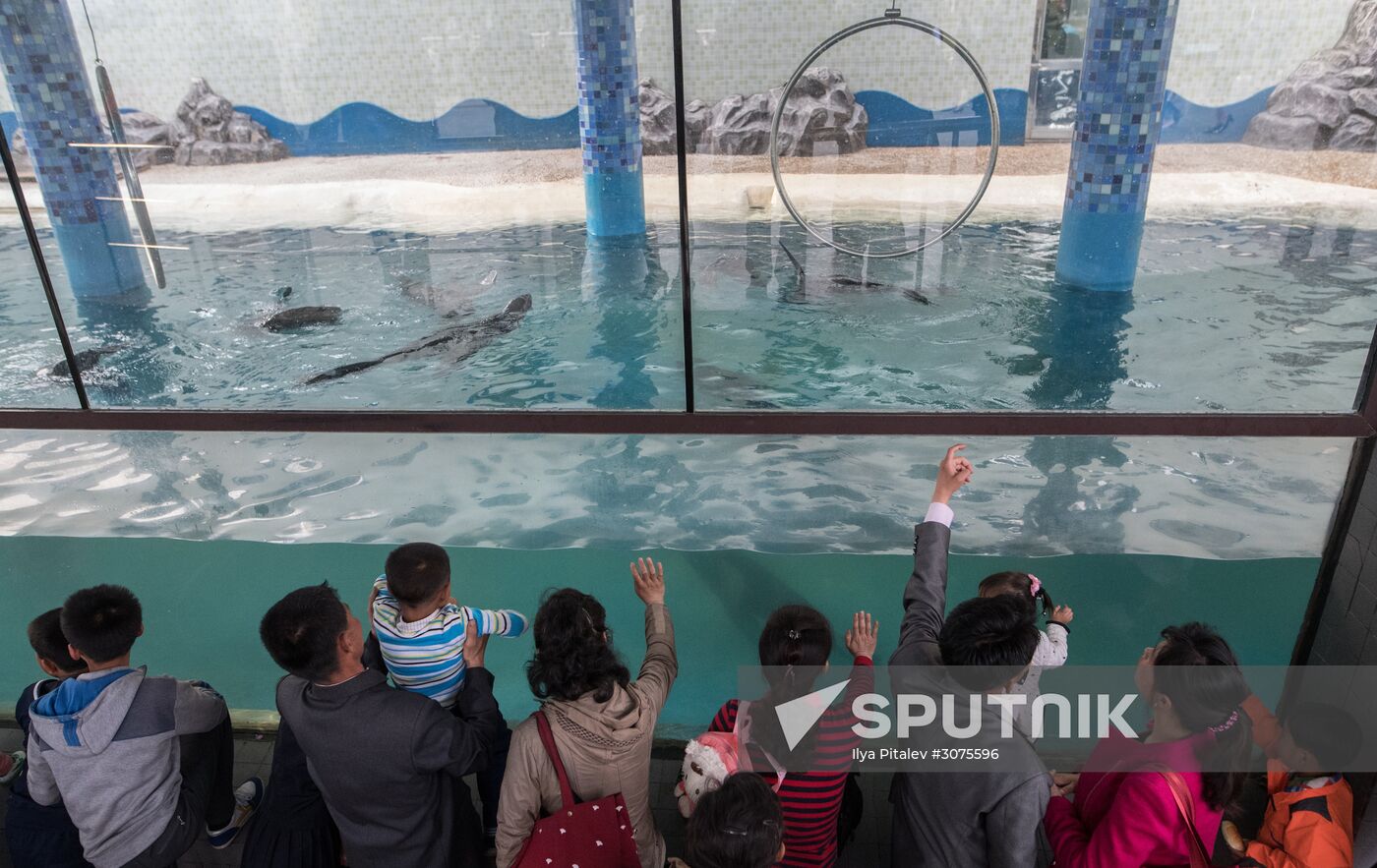 Cities of the world. Pyongyang