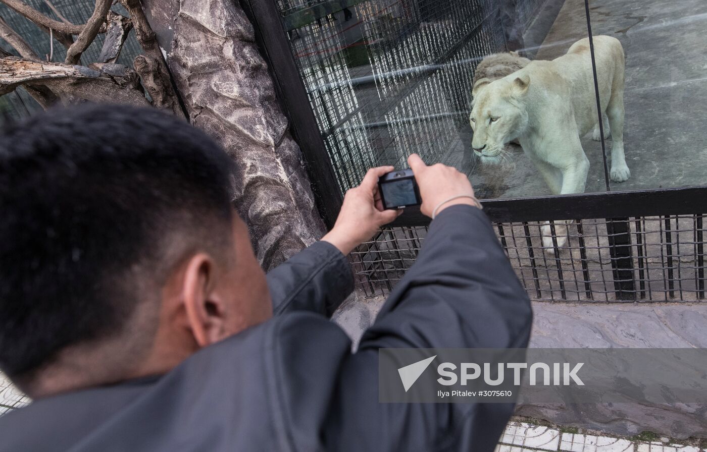 Cities of the world. Pyongyang