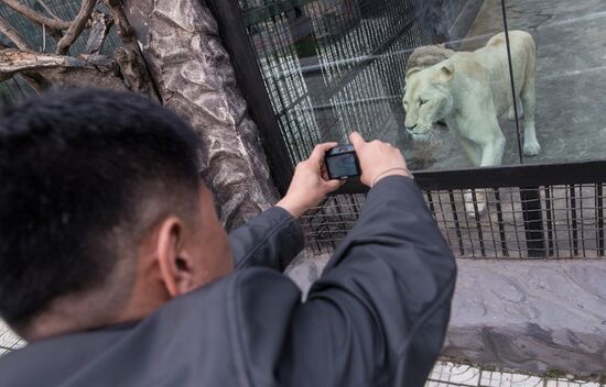 Cities of the world. Pyongyang