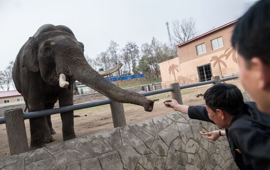 Cities of the world. Pyongyang