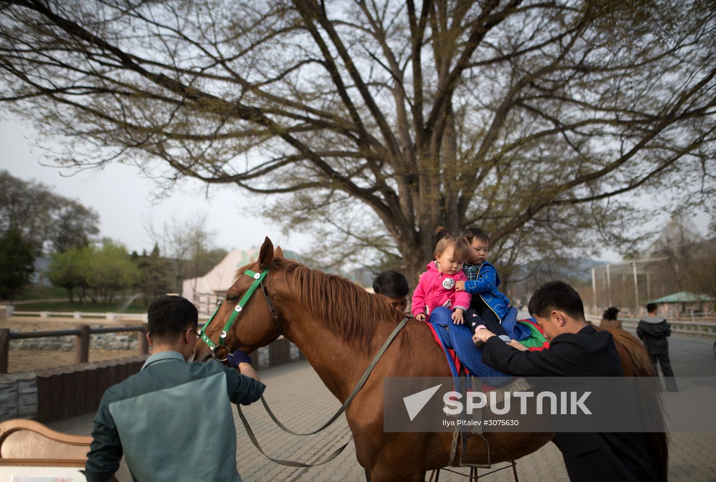 Cities of the world. Pyongyang