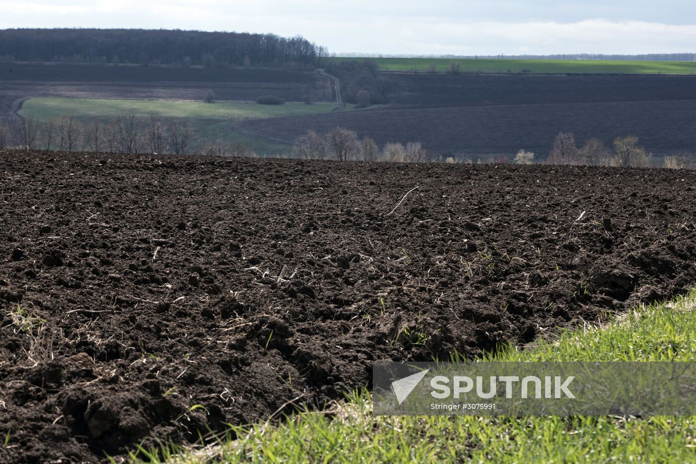 Black soil of Ukraine