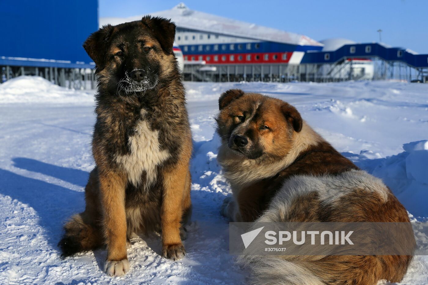 Russia's Arctic Shamrock military base on Alexandra Land of Franz Josef Land